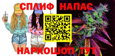 сатива Беслан