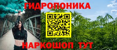 молекула духа Бийск