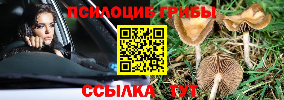 Псилоцибиновые грибы MAGIC MUSHROOMS Артём