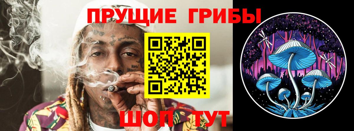 Артём  Псилоцибиновые грибы Psilocybine cubensis  Вход с VPN 